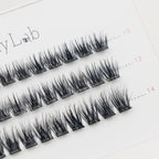 Close-up of Lashy Lab SASSY PRE-GLUED LASHES SET, featuring a white tray with multiple rows of neatly arranged black cluster lashes for DIY eyelash extensions.