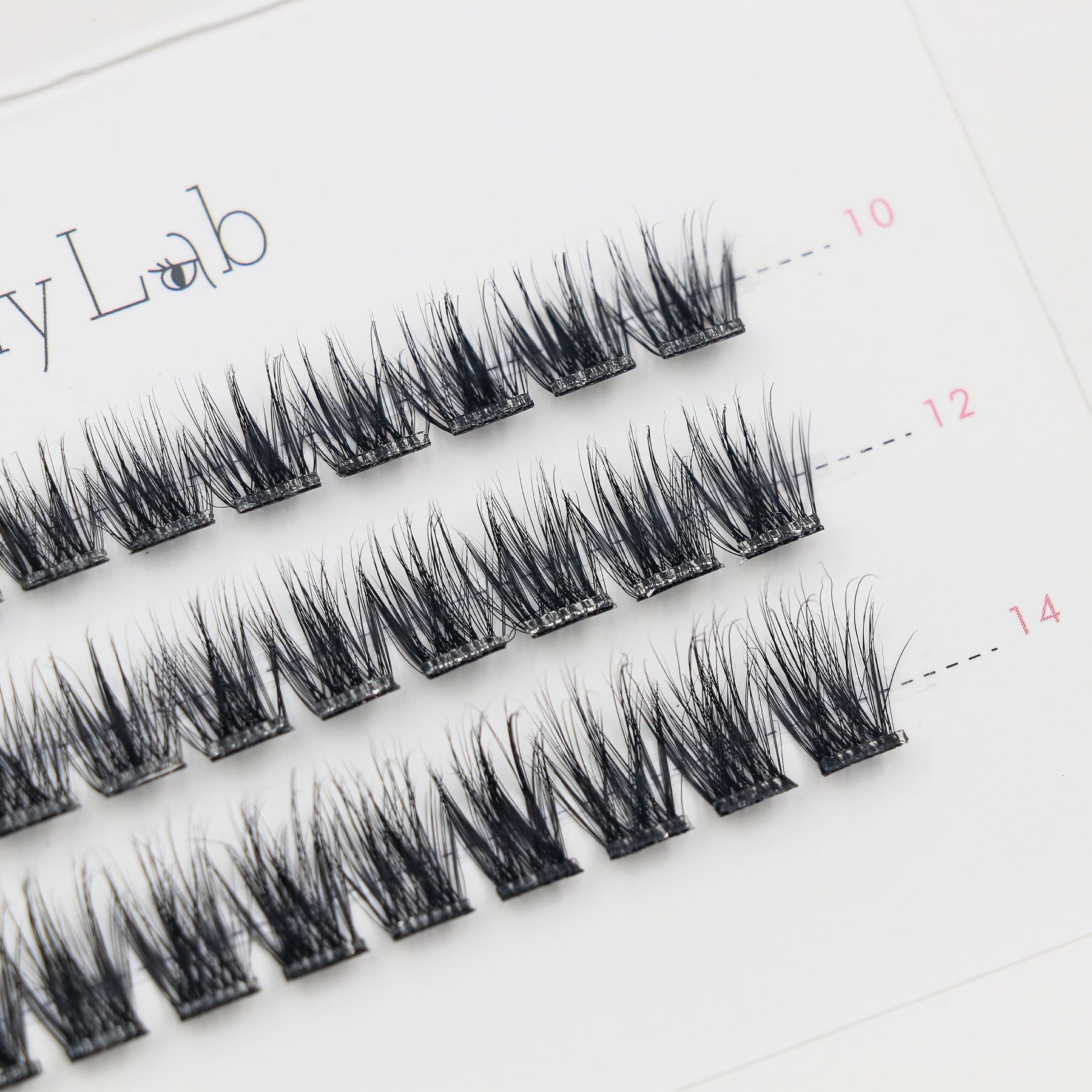Close-up of Lashy Lab SASSY PRE-GLUED LASHES SET, featuring a white tray with multiple rows of neatly arranged black cluster lashes for DIY eyelash extensions.
