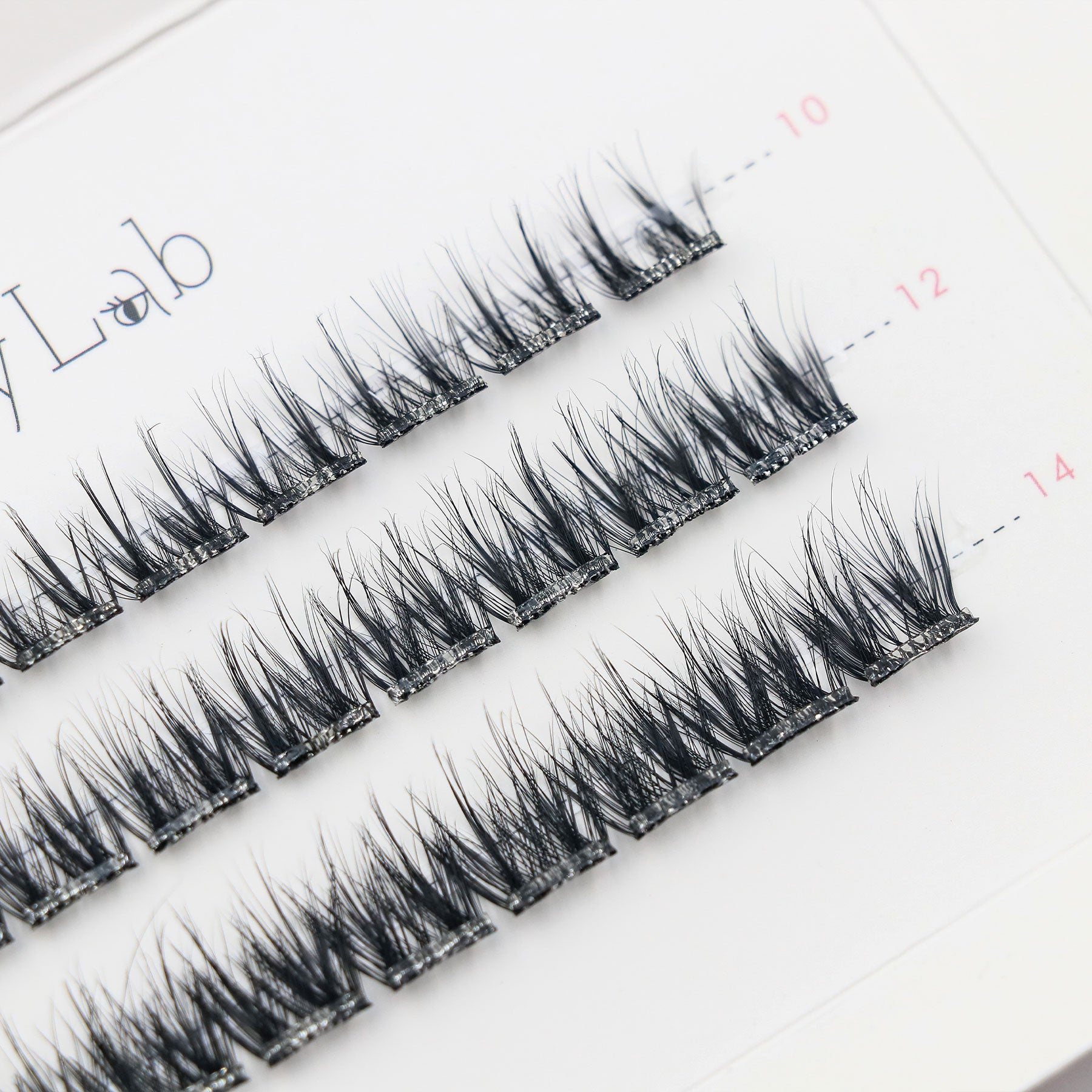 Close-up of Lashy Lab SIREN PRE-GLUED LASHES SET, featuring a white tray with multiple rows of neatly arranged black cluster lashes for DIY eyelash extensions.
