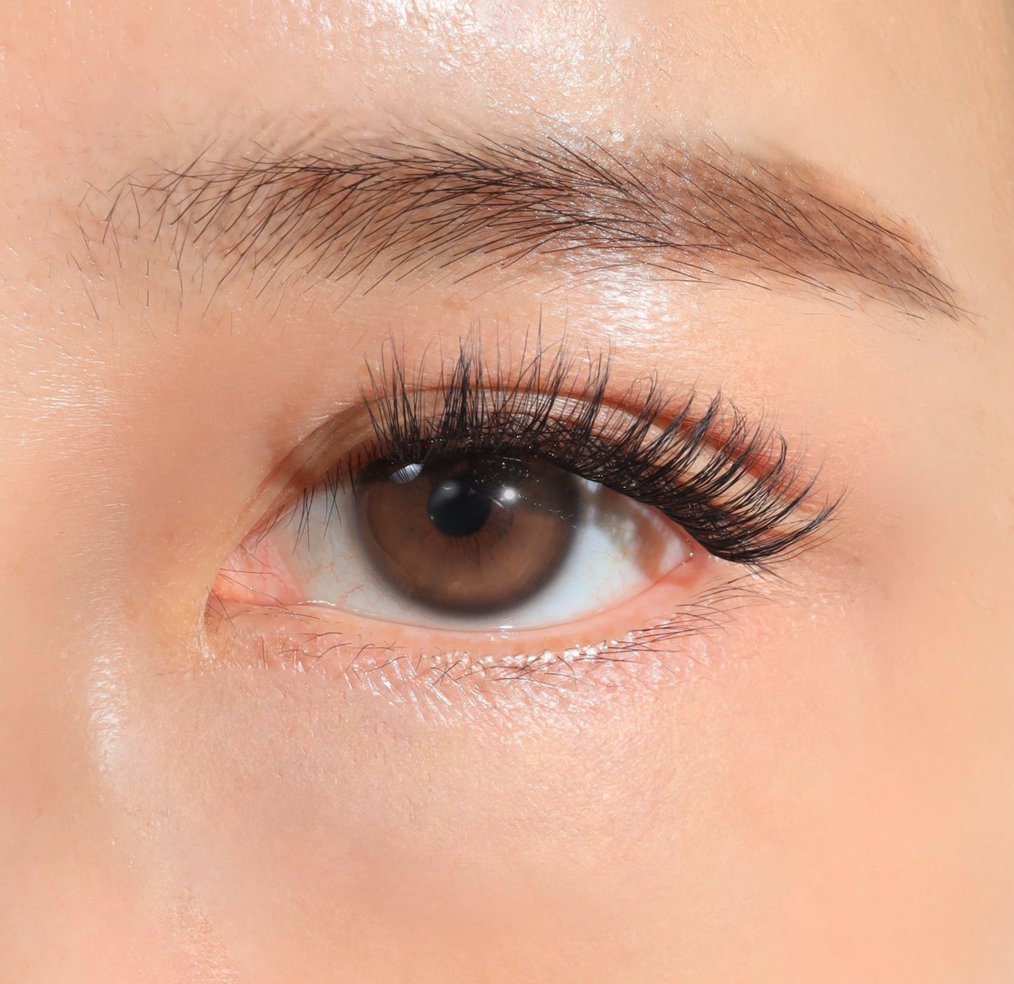 FLUTTER - Voluminous, Full