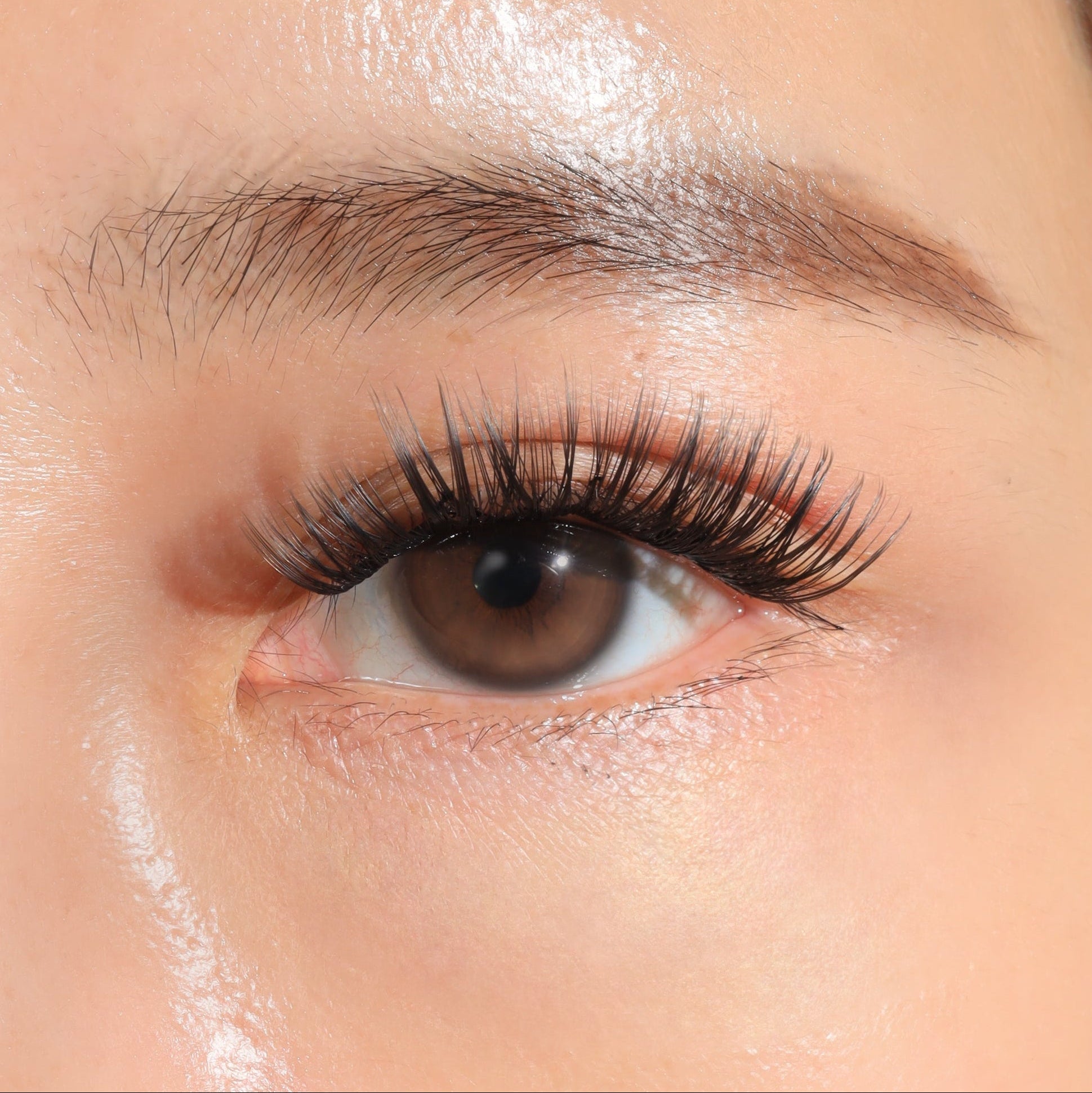 close up with pro-cluster lashes, full and volume lashes