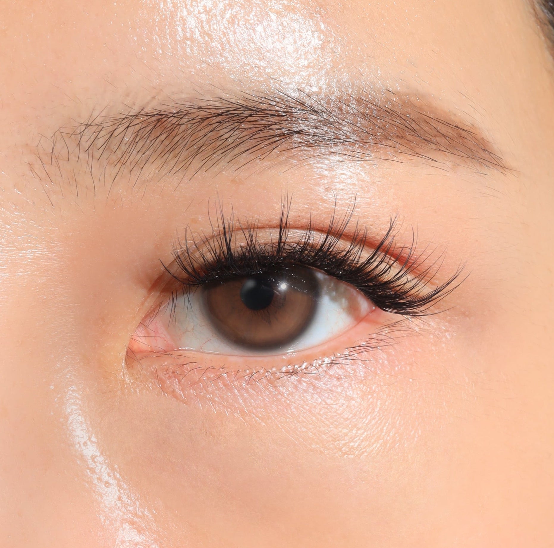 SIREN - Wispy, Criss-Cross