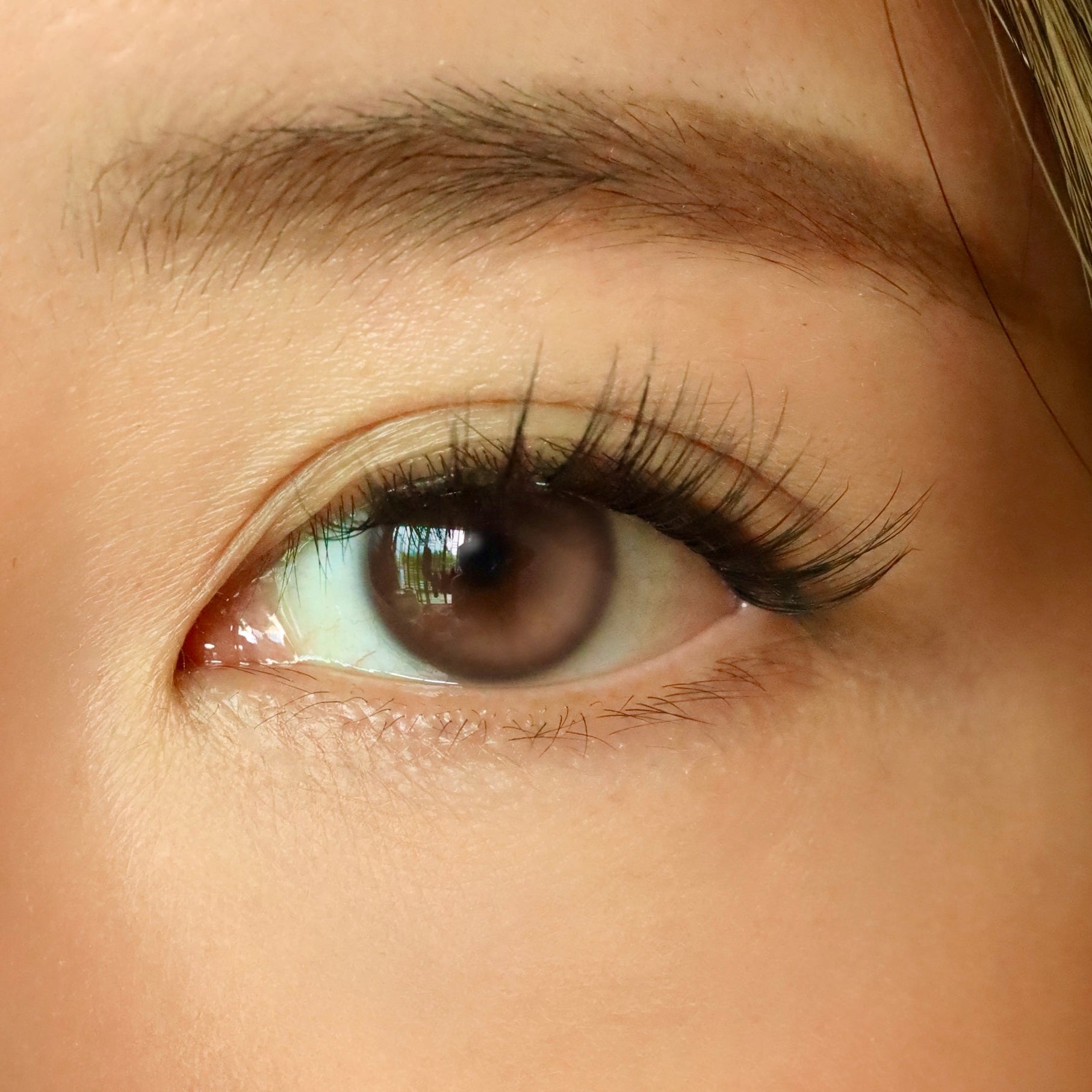 Close-up of a person's eye with detailed eyelashes