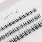 Close-up of Lashy Lab BARE PRE-GLUED LASHES SET, featuring a white tray with multiple rows of neatly arranged black cluster lashes for DIY eyelash extensions.